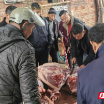 宜章骑田岭下“杀猪饭”唤醒新春年味