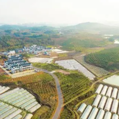 郴州市农业农村局部署2026年二轮延包整市推进暨镉低积累水稻品种推广工作