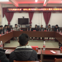 宜章县杨梅山镇李家塘村：凝聚乡贤力量 共推乡村发展