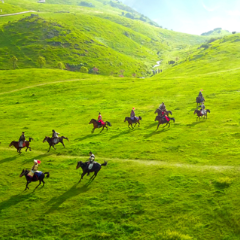 新春走基层·小镇顶流丨仰天湖草儿青，赶马人“马蹄疾”