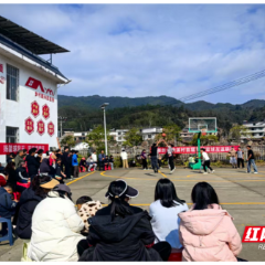 桂东县新坊乡举行“游子归家”篮球友谊赛