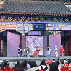 桂阳县举办“过大年看大戏”惠民演出