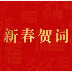 “郴”势而上奋进“十五五”！