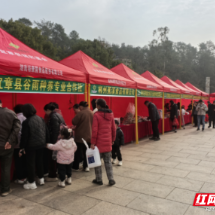 宜章县：新春年货嘉年华 开启红火幸福年