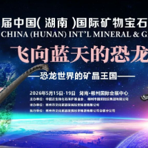 闪耀美国图森！矿博会向全球发出“郴州之约”