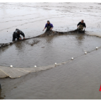 永兴县：抢抓冬季育苗黄金期 鱼苗场育出“致富苗”