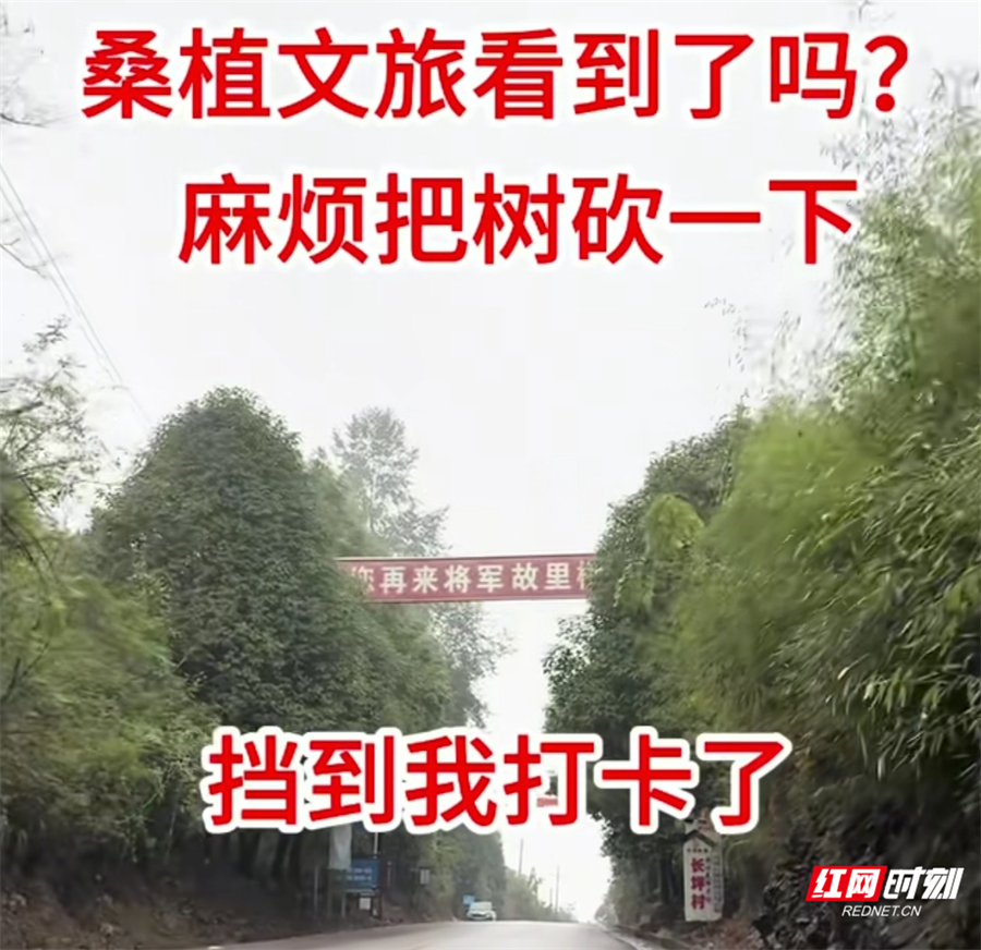 83b2dd568ad87c64c19761f3f0f913ec.jpg