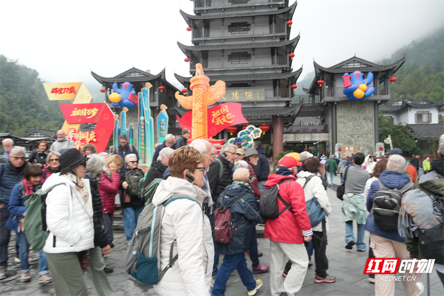 意大利大波游客走进张家界国家森林公园。邓道理摄。.jpg