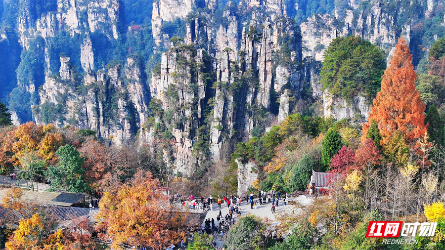 1c2a8e7318d910c9512c8cb8f948e109.jpg 1c2a8e7318d910c9512c8cb8f948e109.jpg