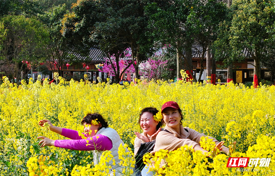 20d57ca9d7c8b260e47166d2448bff09.jpg 20d57ca9d7c8b260e47166d2448bff09.jpg