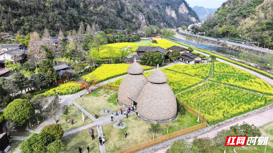 5810084ead2f8916e34fdc6a471f0c00.jpg 5810084ead2f8916e34fdc6a471f0c00.jpg