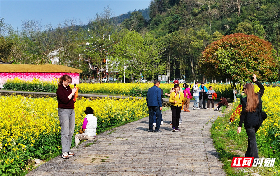 e3e5e19bdbcc910e3fb4645a018c9ef5.jpg e3e5e19bdbcc910e3fb4645a018c9ef5.jpg