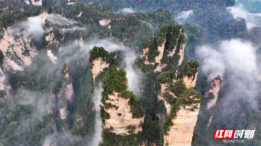 7e0c2cb742083436d56d1d93e8f0516f.jpg 7e0c2cb742083436d56d1d93e8f0516f.jpg