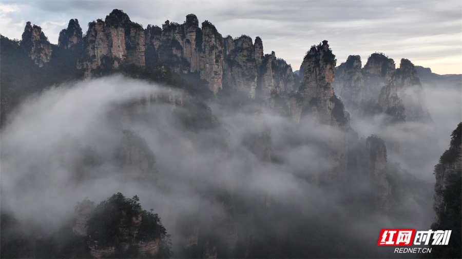 42bb1eba18c64957f7ba38c84f6384ce.jpg 42bb1eba18c64957f7ba38c84f6384ce.jpg