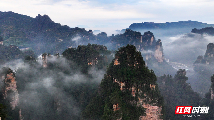 cd8d74cb59e0050928a29740d6b7bea8.jpg cd8d74cb59e0050928a29740d6b7bea8.jpg