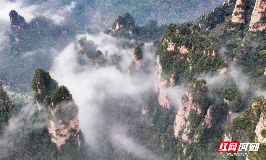 49bd7a77555e4d2588c9b7abc890ebf7.jpg 49bd7a77555e4d2588c9b7abc890ebf7.jpg