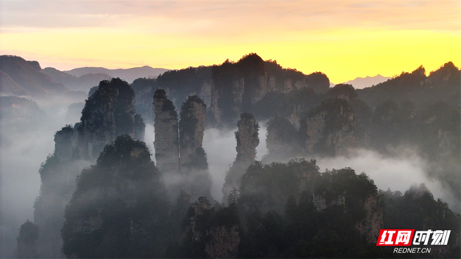 d3864bee0aeb92f6b40fb3693f89ecf6.jpg d3864bee0aeb92f6b40fb3693f89ecf6.jpg