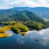 以法治方式提升生物多样性治理能力