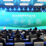 我国森林覆盖率已超过25% 成为全球增绿最多的国家