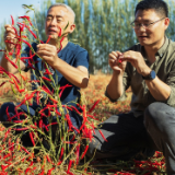 中国科学家获联合国环境规划署2024年“地球卫士奖”