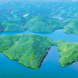 长沙严防蓝藻水华风险