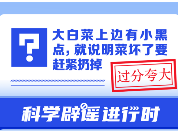 大白菜上边有小黑点，就说明菜坏了要赶紧扔掉？
