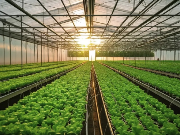 反季蔬菜不安全没营养？专家辟谣了！