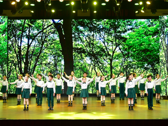 视频丨在《绿叶的交响》里感受自然的“脉搏”