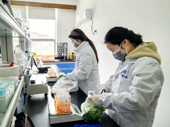 一车蔬菜的“安全通关”之路——探访湖南首个校园餐食材快检中心