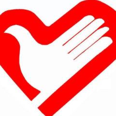 浓情元宵 温暖老人——长沙县红十字“浓情元宵送温暖”活动侧记