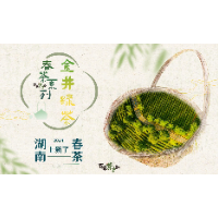 湖南春茶系列报道丨金井茶园：一芽一叶一抹香