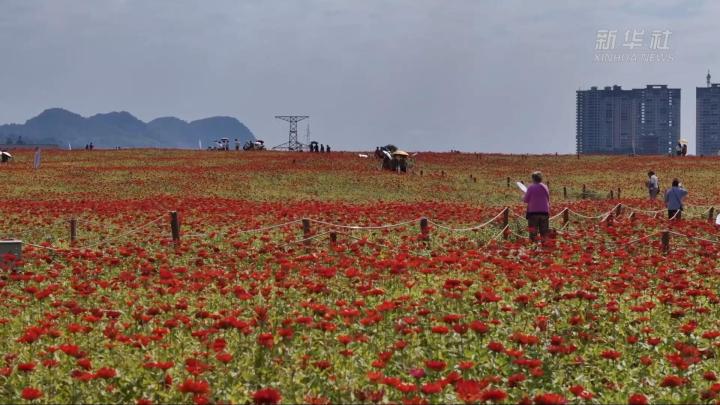 城市“边角料”成了文旅打卡点