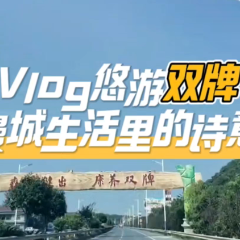 Vlog丨悠游双牌 邂逅慢城生活里的诗意栖居