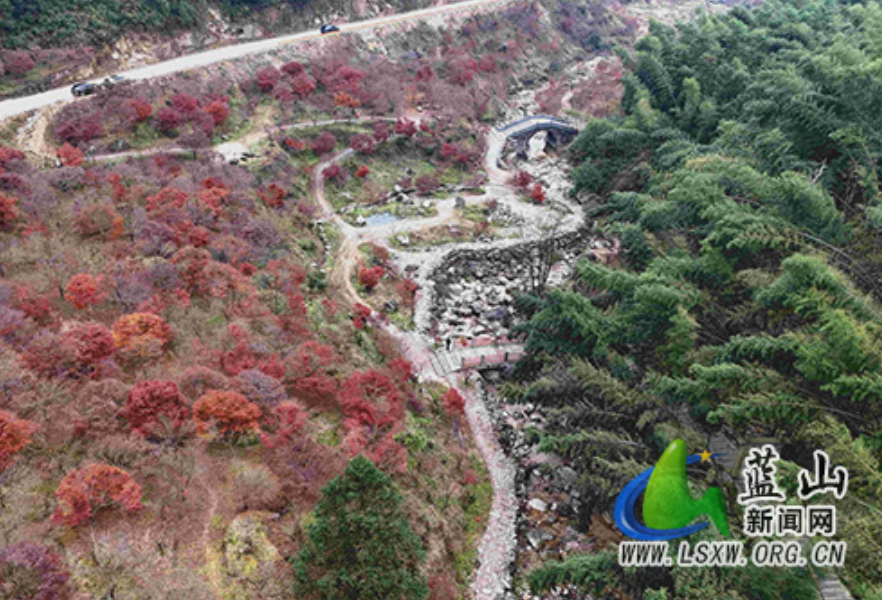 蓝山：乡村变景区 小村“火出圈”