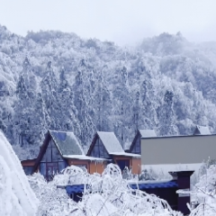 视频丨冰雪过后的双牌阳明山，玉树琼枝宛若仙境！