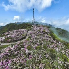 五一来不来？双牌再添两张国家级旅游新名片！