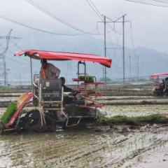 双牌茶林镇：机械化播种 助推春耕早稻生产