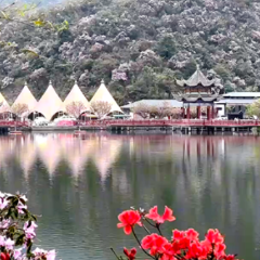 永州十场花事丨湖南阳明山：万和湖畔花海盛放，雨后仙台花镜美景惊艳亮相