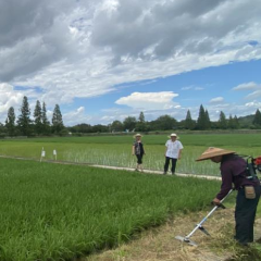 永州市农科所：田间地头送清凉