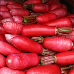 新田:发展红皮萝卜产业 铺开乡村振兴好“钱”景