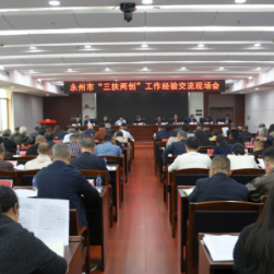 永州市召开“三扶两创”工作经验交流现场会