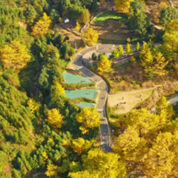 桐子坳还能这样玩①金色童话出片指南:美食美景一起“杏”动