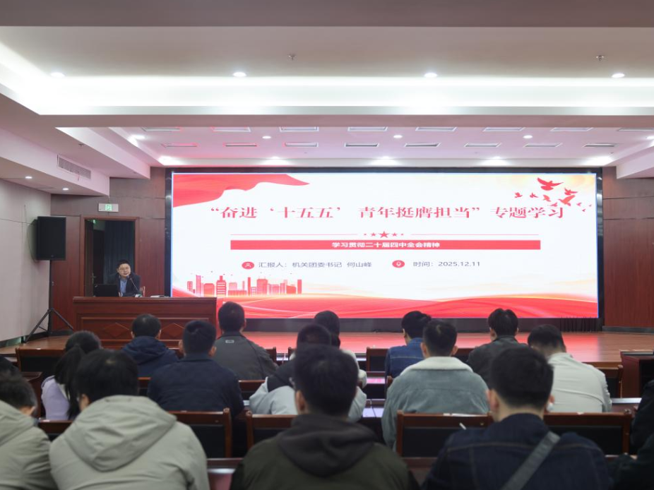 永州税务：深学笃行四中全会精神 青春奋进“十五五”新征程