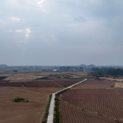 江永：冬耕备耕抢先机 技术赋能“金叶”生产新篇章