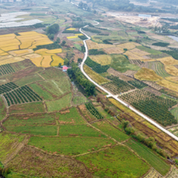 江永七工岭蝴蝶节:烟火里的瑶乡感恩密码