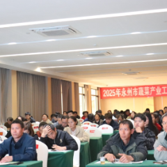 科技赋能“菜篮子” 专家齐聚永州新田共绘蔬菜产业新图景