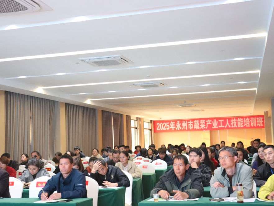 科技赋能“菜篮子”  专家齐聚永州新田共绘蔬菜产业新图景
