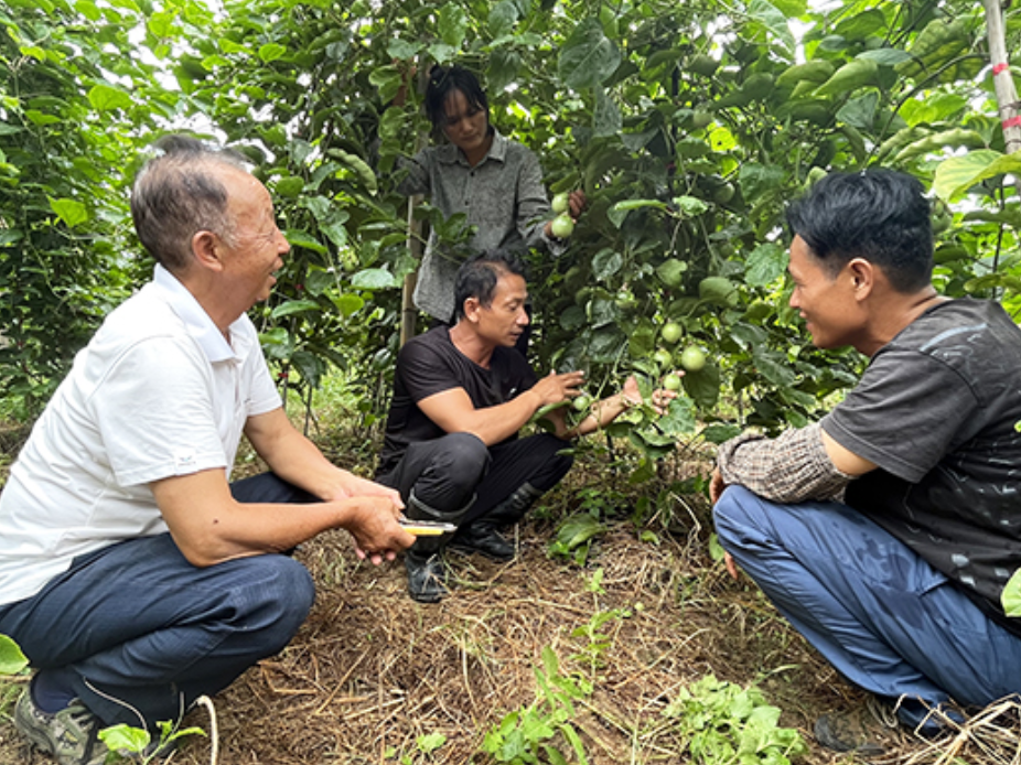 湖南江永：“银发力量”激活乡土 基层治理飘出“夕阳香”