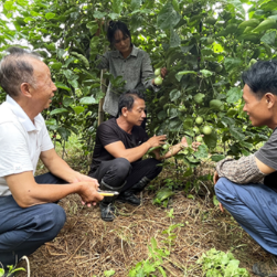 湖南江永:“银发力量”激活乡土 基层治理飘出“夕阳香”