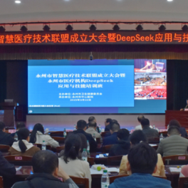 永州市智慧医疗技术联盟成立大会暨DeepSeek应用与技能培训班举行